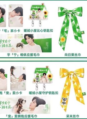 B浪刘宇宁联名周边精美高颜值小卡亚克力小屋钥匙扣明星应援周边