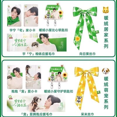 B浪刘宇宁联名周边精美高颜值小卡亚克力小屋钥匙扣明星应援周边