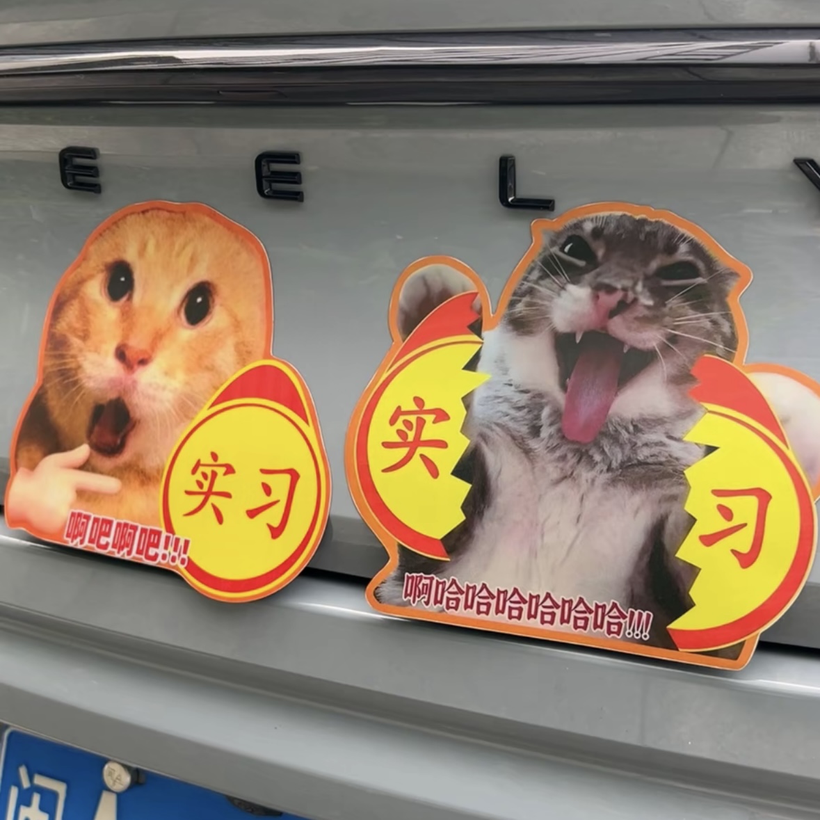 耄耋哈基米创意搞笑文字实习标