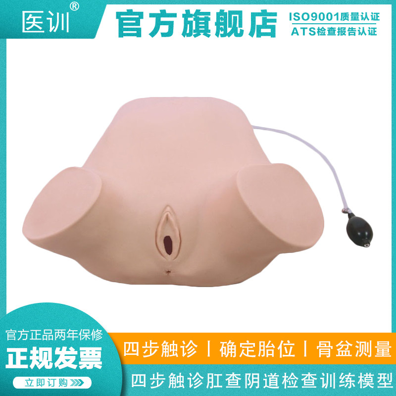 医训 YX/W-2四步触肛查阴道检查训练模型妇科综合检查模型妇科训练模型四步触诊法训练与考核,文具电教/文化用品/商务用品,模拟人,淘宝优惠券,粉丝福利购,淘宝优惠卷
