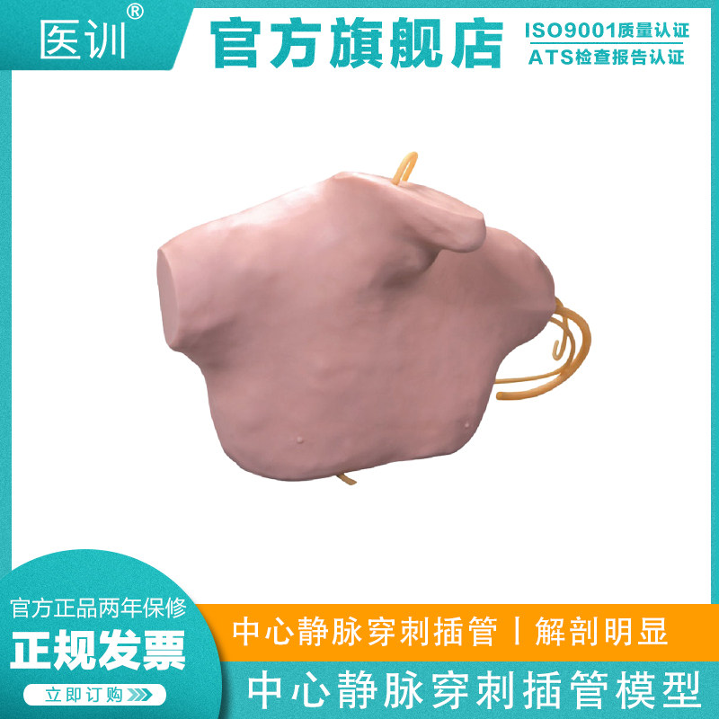 医训 YX/L68B中心静脉穿刺插管模型颈内静脉及锁骨下静脉锁骨下静脉穿刺颈内静脉穿刺皮肤静脉可更换 - 实物图