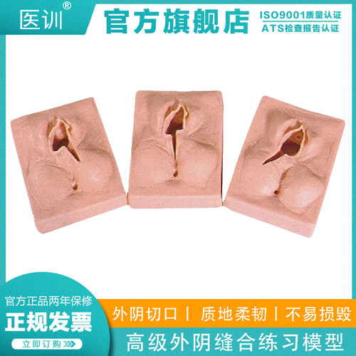 医训yx/h高级外阴练习可反复模型