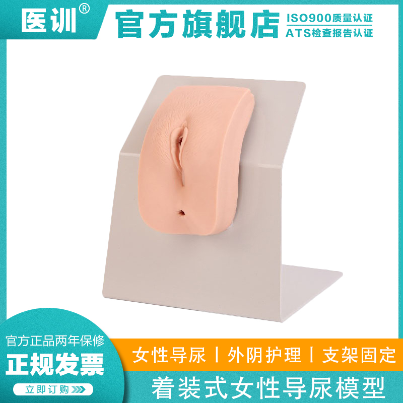 高级着装式女性导尿模型医训模具