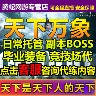 天下万象代练代打代肝升等级日常任务托管副本和活动竞技场装备