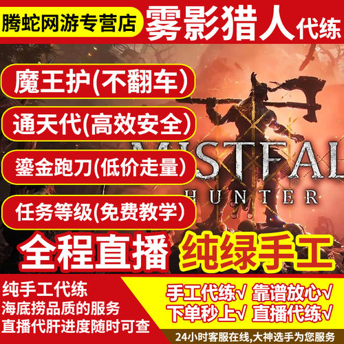 雾影猎人代练代肝刷打大神陪玩护航装备跑刀任务等级鎏金币交易