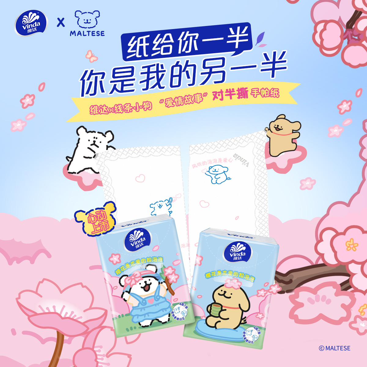 维达线条小狗抽纸抽纸爱情故事