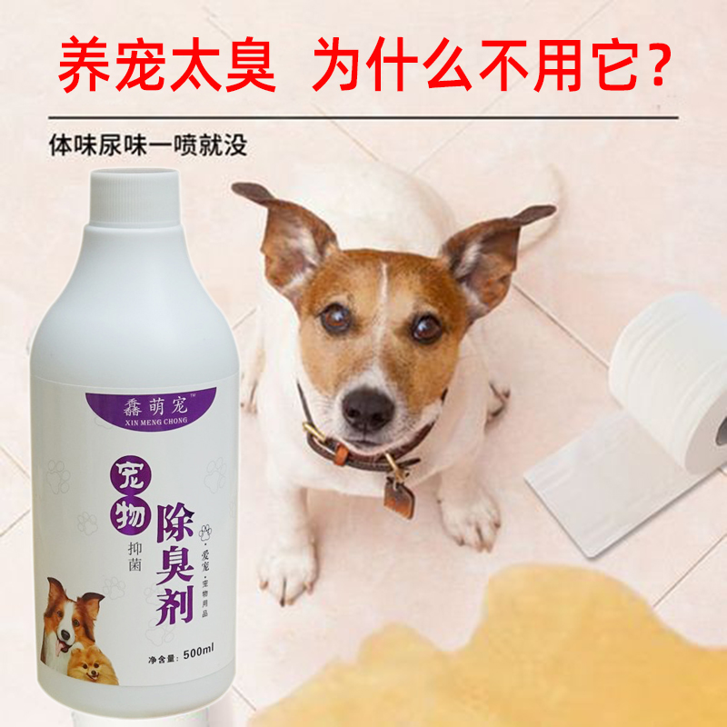杀菌去尿味神器浓缩消毒液除臭剂