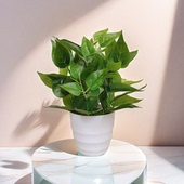 仿真绿萝盆栽植物假绿植仿真花网吧酒店会所客厅办公室饰品摆件花