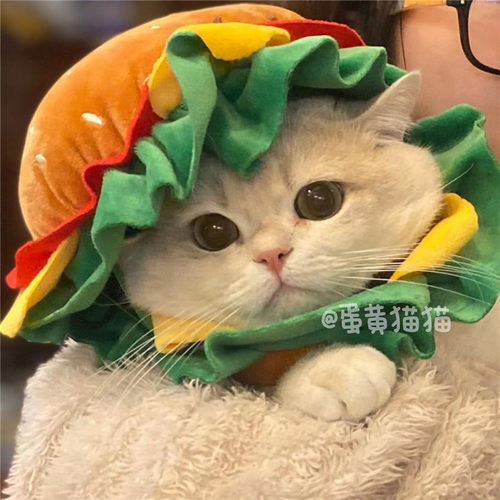 拍照防舔咬两用颈脖圈头套帽子