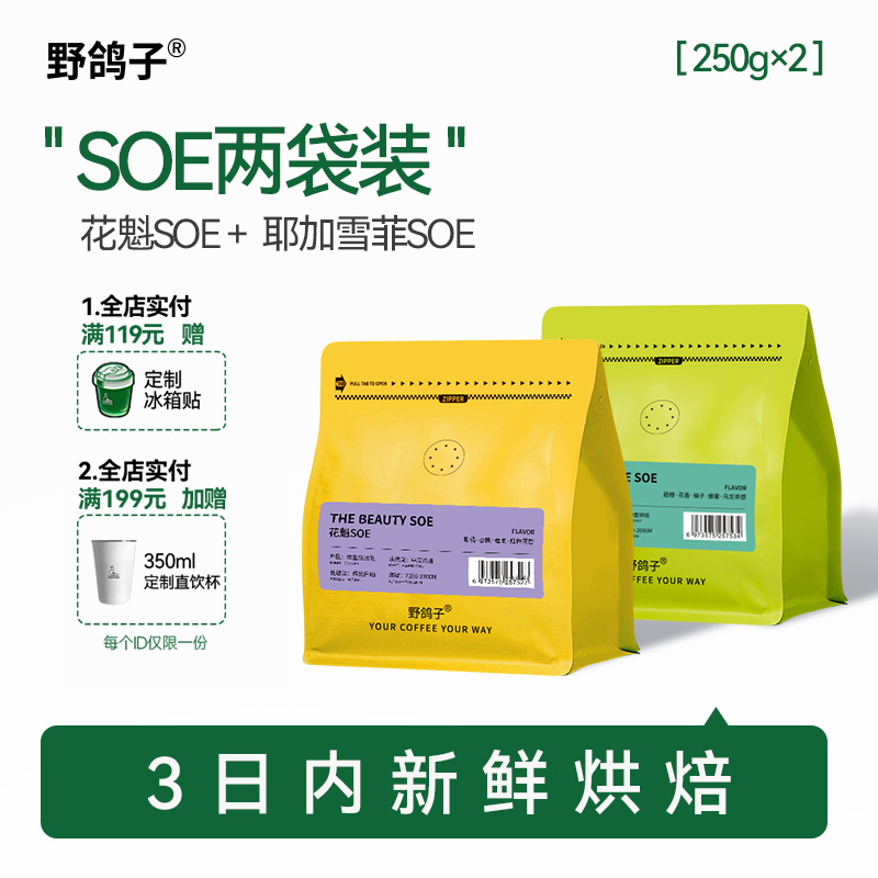 野鸽子耶加雪菲花魁瑰夏SOE组合