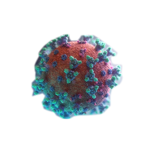 病原体基因检测 病原微生物基因检测 不明原因发热感染检测