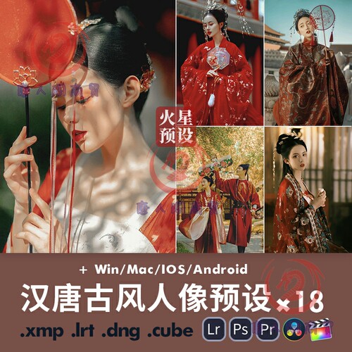 LR预设汉唐古风人像调色PS中国风汉服古装写真PR滤镜LUTs插件A06