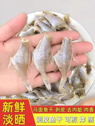 北海特产迪仔鱼扒皮鱼干剥皮鱼干新鲜晒微咸鱼干
