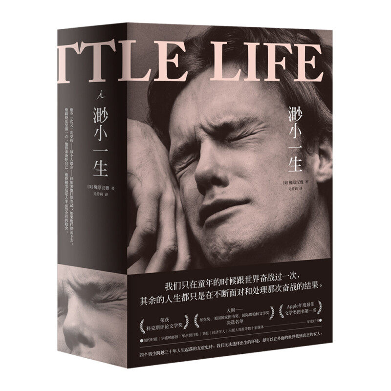 渺小一生（盒装上下册）怎么看?
