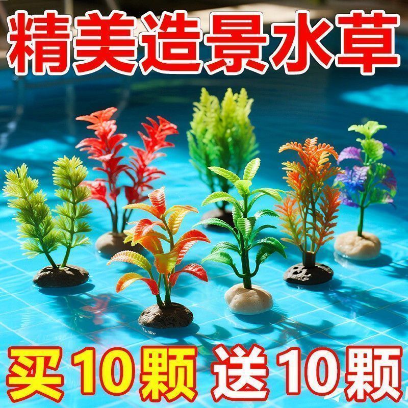 苏哥推荐夜光彩色鱼缸造景石