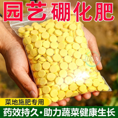 园艺绿植通用强效蚜虫粉虱硼片