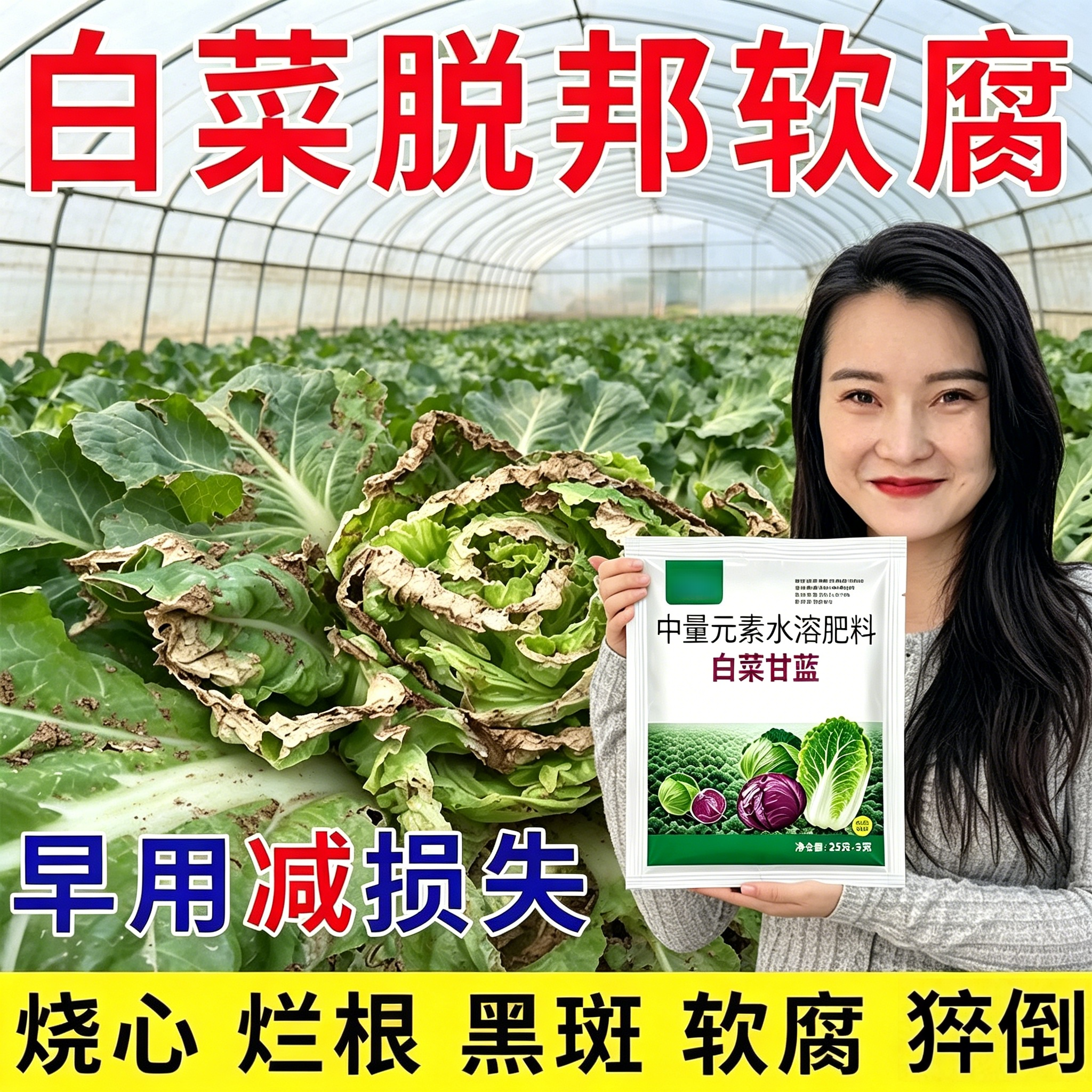 白菜防腐包心剂大白菜抗病害叶面肥甘蓝包心菜包菜增产白菜水溶肥
