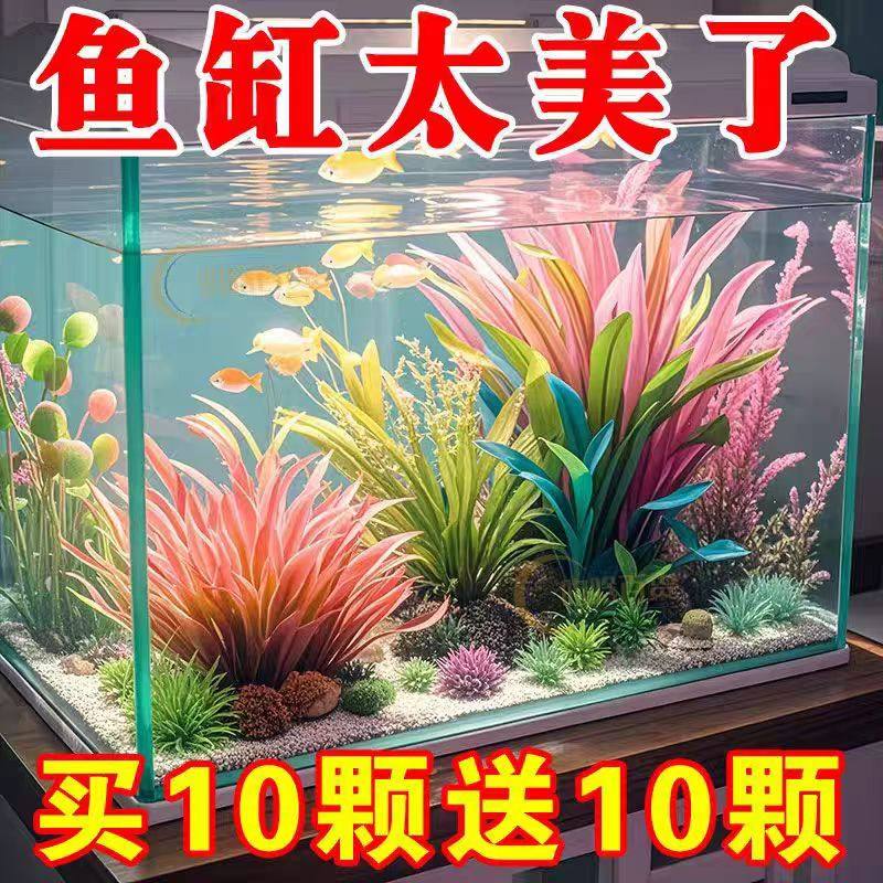 鱼缸水草造景套装净化增氧