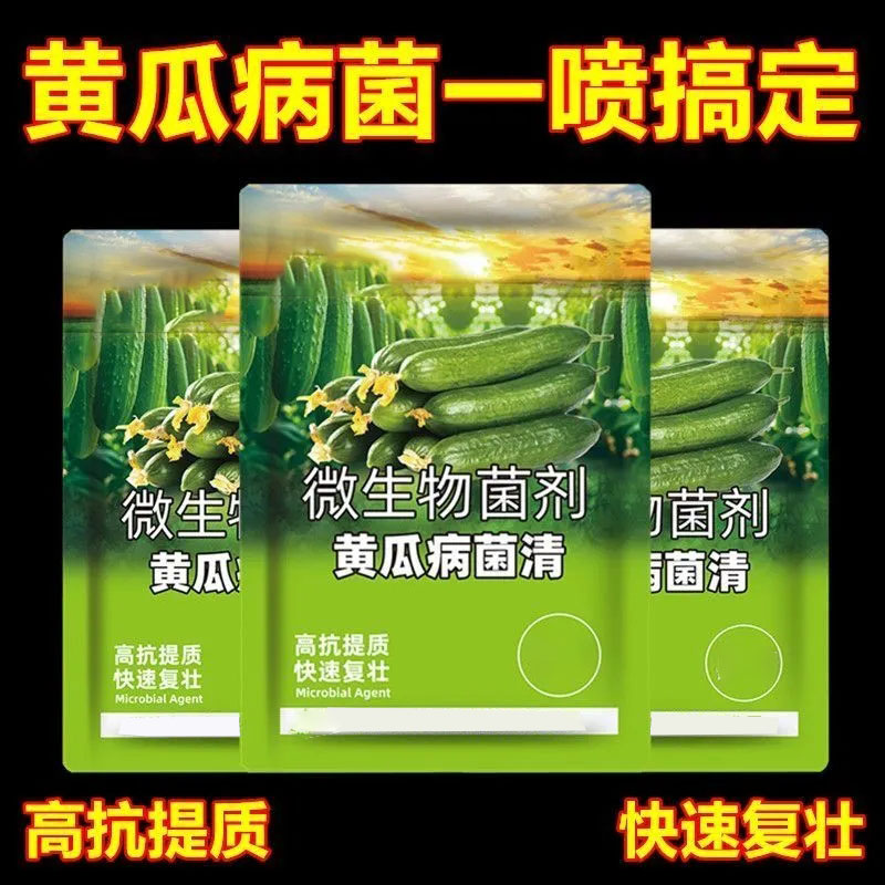 黄瓜膨果专用微生物菌肥杀菌防病促根壮秧瓜条顺直粗大抗重茬黄叶