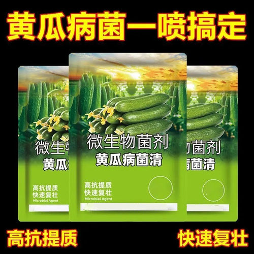 黄瓜膨果专用微生物菌肥预防防病促根壮秧瓜条顺直粗大抗重茬黄叶