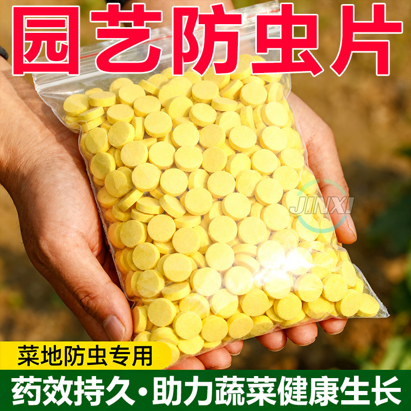 家庭园艺防虫片防小黑飞蚜白粉虱