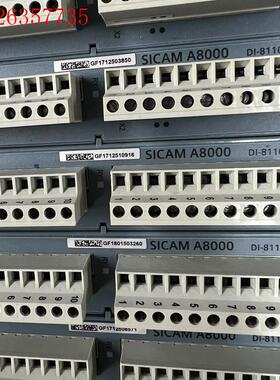 西门子 SICAMA8000 DI-8110  DO-821(议价)