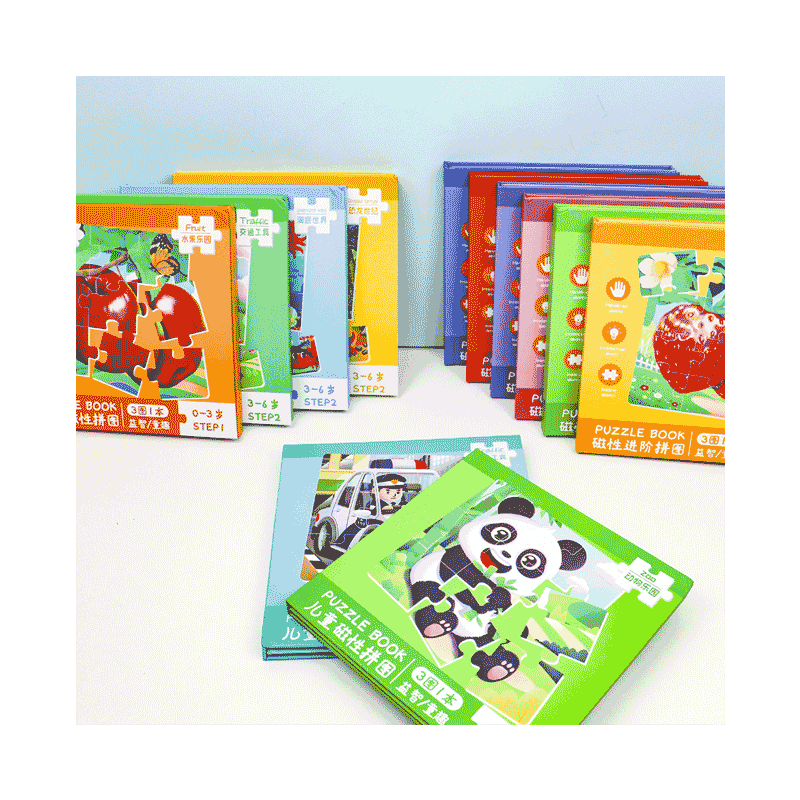 儿童磁性开发意志力拼图早教动脑贴男女孩平图3到6岁宝宝识字玩具