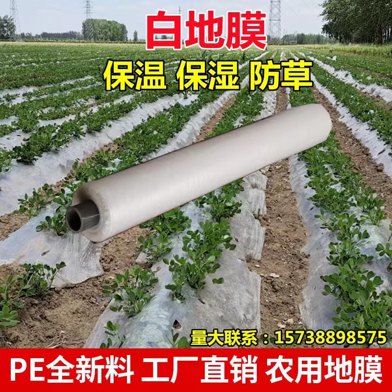 农用种植地膜农作物60公分宽我想买1.2米宽辣椒冬季80厘米抗老化,