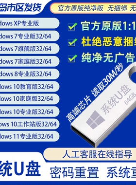 电脑系统重装U盘 纯净版 windows107 W11旗舰pe开机密码修改清除