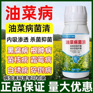 油菜正品药油菜菌核病霜霉病根腐病猝倒病油菜病菌清油菜防治农药