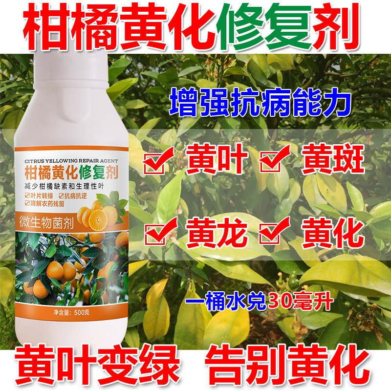 果树黄化病专用药农用黄化症柑橘黄龙病脐橙柚子红鼻子果树专用药