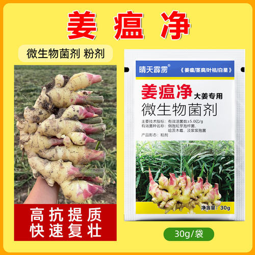 护稼卫大姜专用药姜瘟灵