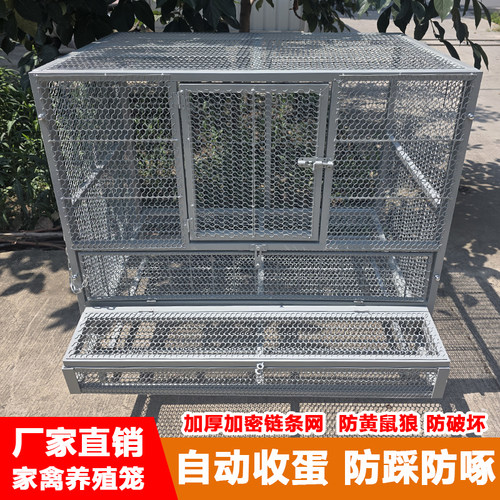 防黄鼠狼鸭鹅收蛋笼鸡笼家禽笼具