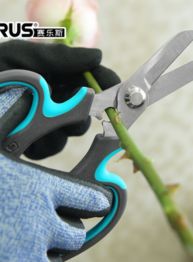 花艺师插花专用不锈钢花枝剪修枝剪园艺剪刀玫瑰花修剪鲜花赛乐斯