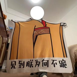 皇帝龙图毯子见到朕为何不跪异形搞怪毯宿舍法兰绒送礼午睡毯搞笑
