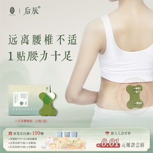 后辰艾草腰椎贴关节膏药舒缓艾草不适护腰艾灸贴肌肉穴位贴