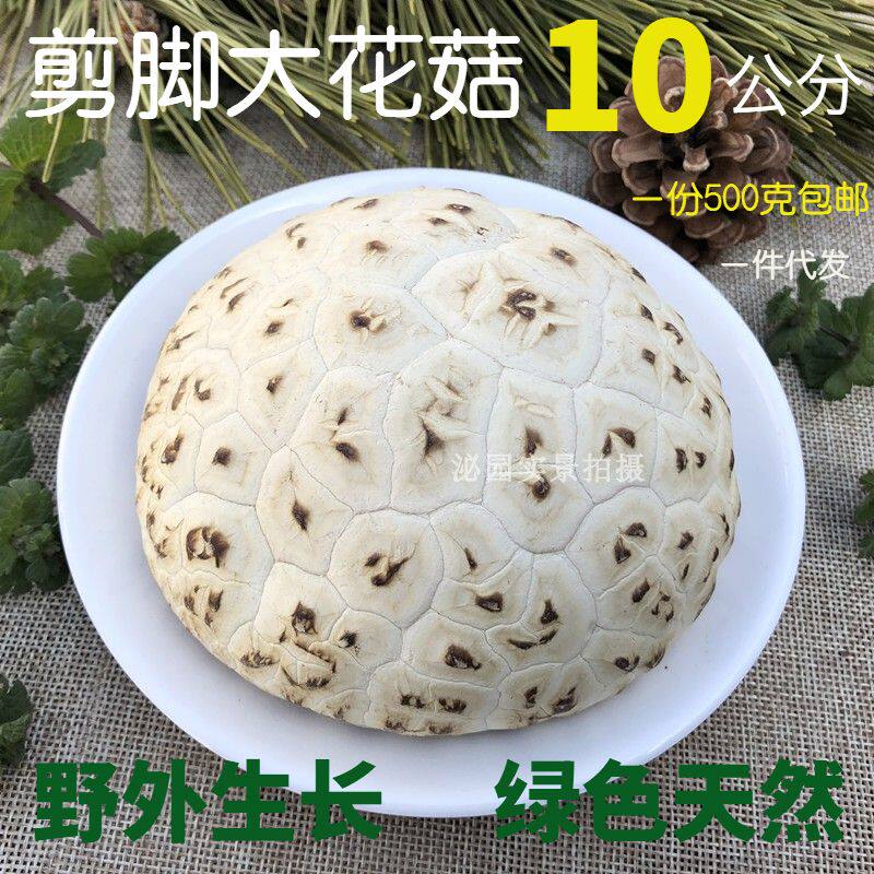 泌阳剪脚真大花菇干货农家干香菇冬菇蘑菇无跟肉厚枇发500g包邮香