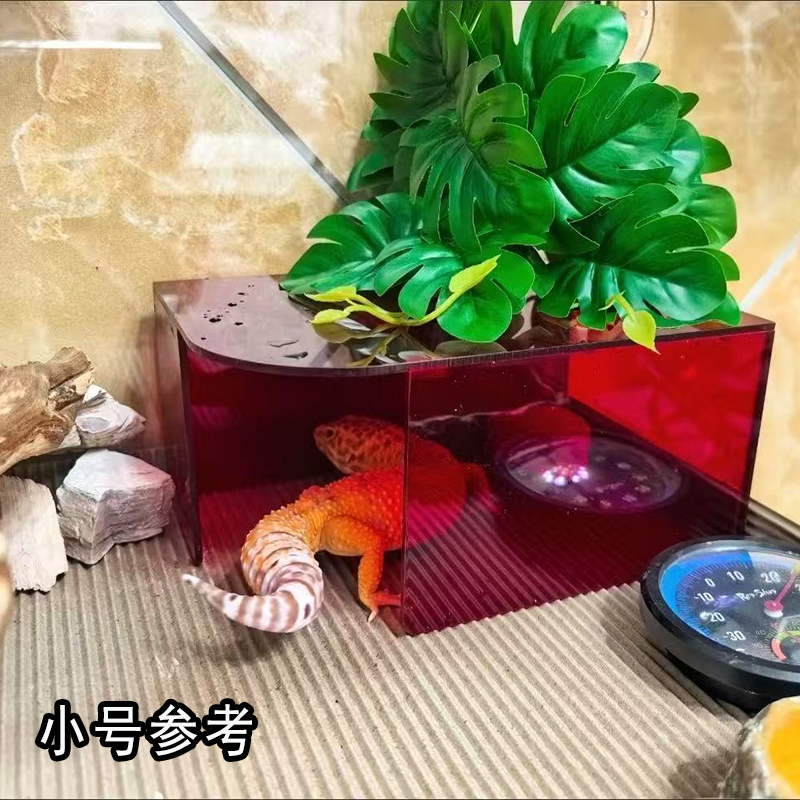 亚克力五面可观赏地栖爬宠躲避屋