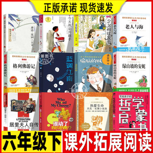 今天我是升旗手黄蓓佳少女的红发卡程玮老人与海谁动了我的奶酪蓝调江南金曾豪著潘家铮院士科幻作品集热爱生命六年级下册课外书