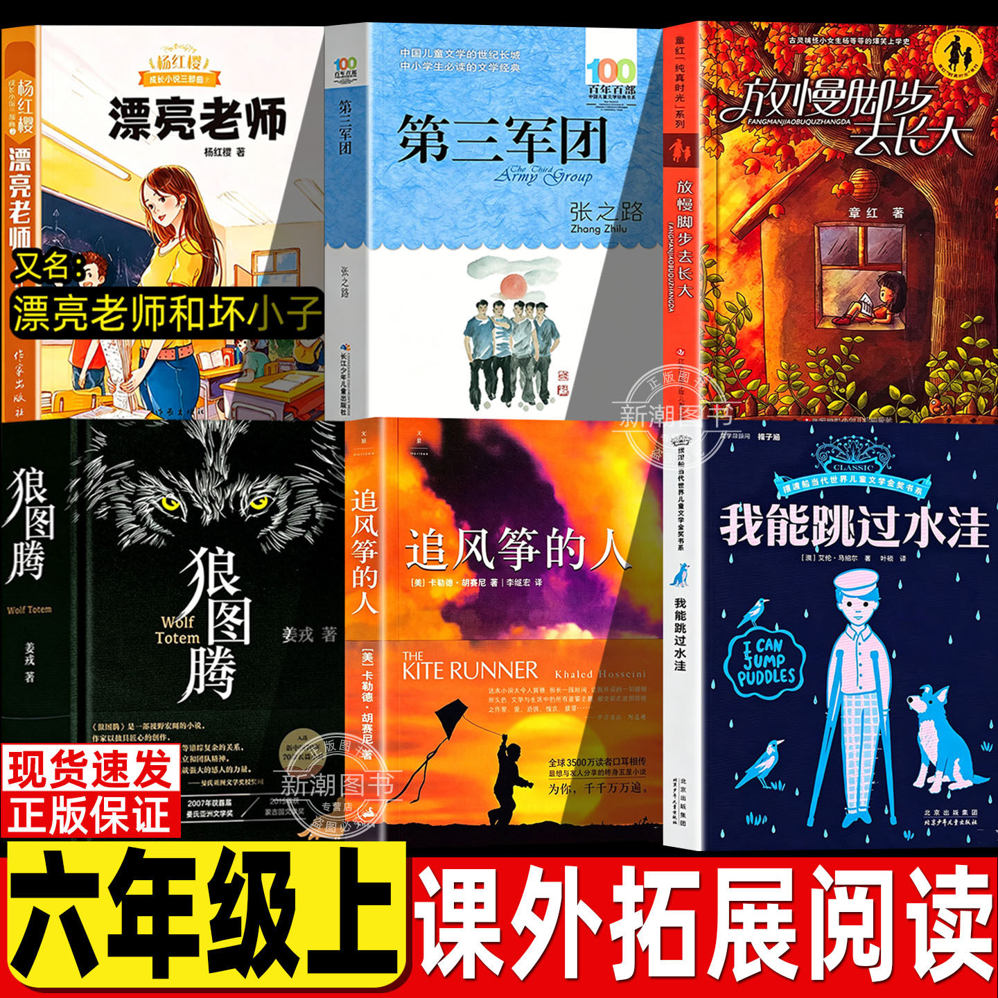 漂亮老师和坏小子杨红樱六年级上必读课外书第三军团张之路放慢脚步去长大章红狼图腾姜戎原著正版完整版追风筝的人我能跳过水洼 - 实物图