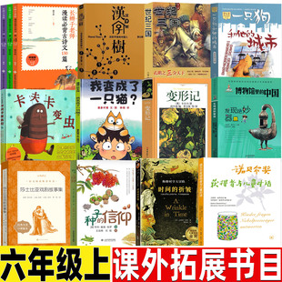 英格著黄聿君译六年级上册科幻类课外书文汇出版 时间 皱纹中文版 折皱时间 社梅格时空大冒险诺贝尔奖获得者与儿童对话 褶皱时间