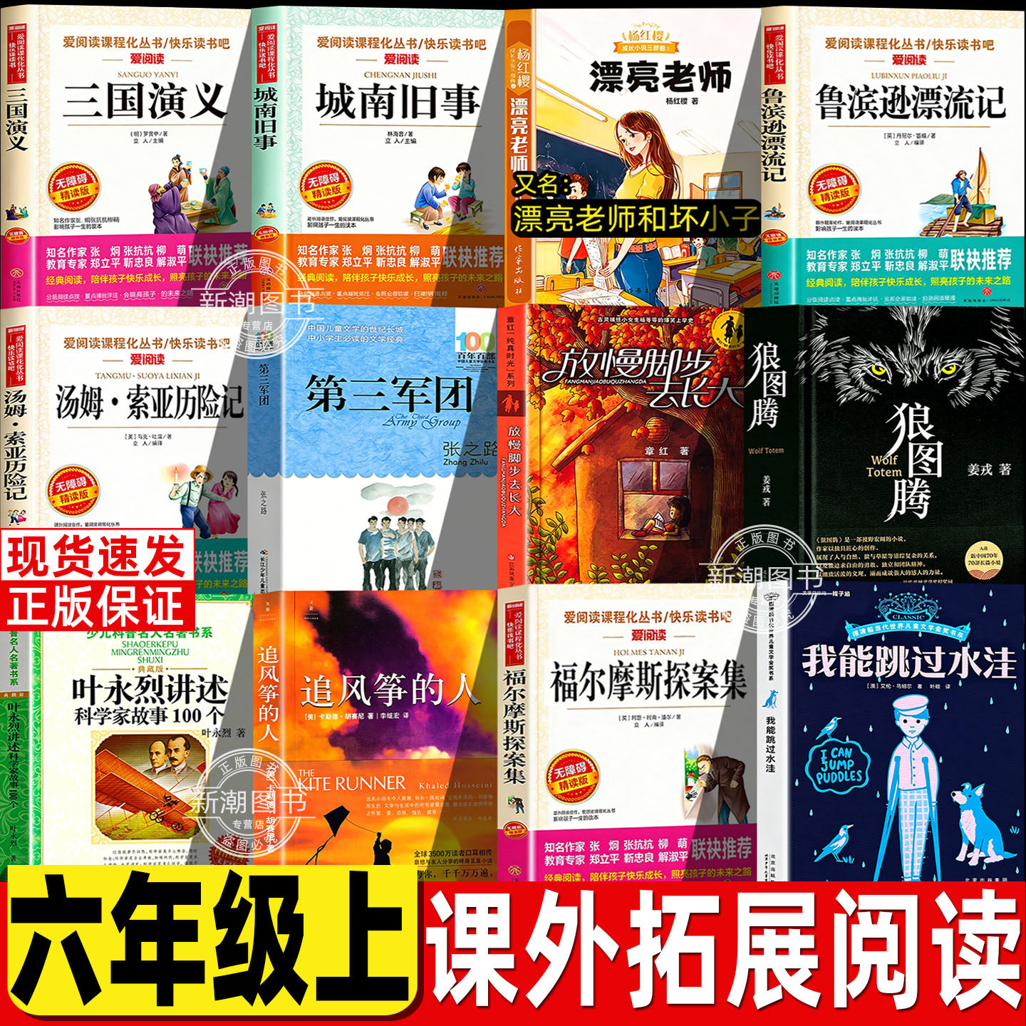 六年级上推荐书目放慢脚步去长大章红著我能跳过水洼狼图腾漂亮老师和坏小子第三军团追风筝的人叶永烈讲述科学家故事100个