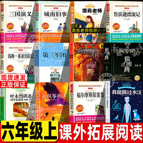 六年级上推荐书目放慢脚步去长大章红著我能跳过水洼狼图腾漂亮老师和坏小子第三军团追风筝的人叶永烈讲述科学家故事100个