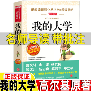 社无障碍精读版 大学童年母亲高尔基三部曲四部曲天地出版 四五六年级阅读课外书 大学高尔基著名师导读带批注在人间和我 我