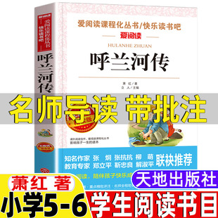 社立人编彩图插画版 呼兰河传三年级萧红著五年级六年级上下册通用青少年课外书无删减天地出版 名师导读带批注无障碍精读课外书