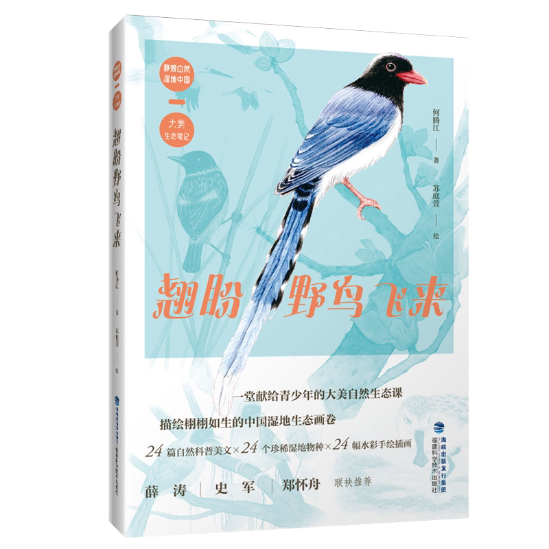 不是吧？世界因“泥”而改变 身边的发明史小剧场 潘美慧/著 2026年福建省暑假读一本好书1-2年级小学生一二年级语文课