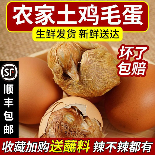 40枚毛鸡蛋麻辣毛蛋全毛大毛