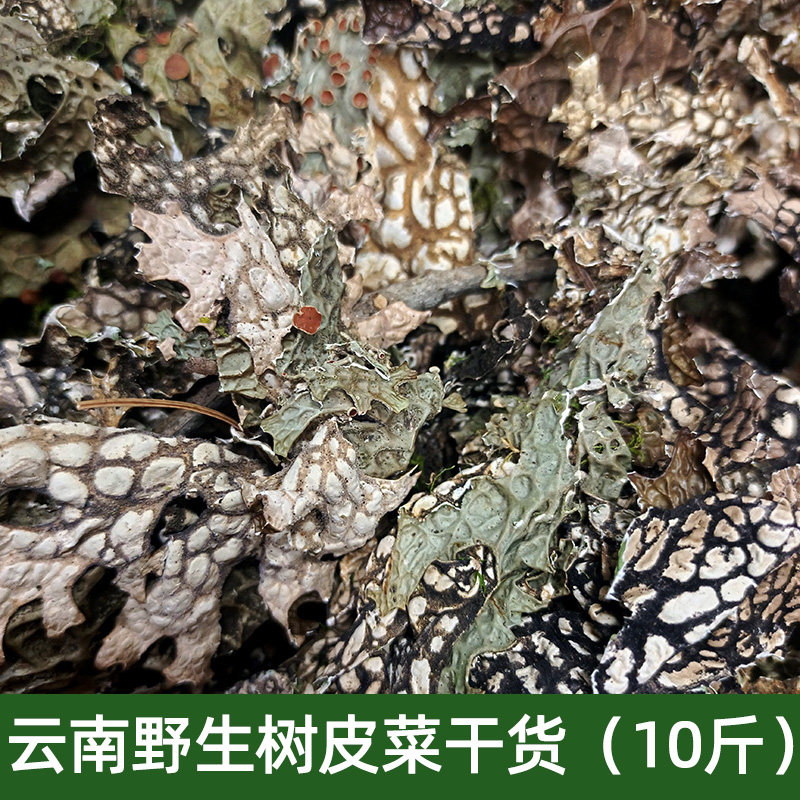 云南野生树皮菜楚雄特产青蛙皮菜干货凉拌树蝴蝶10斤