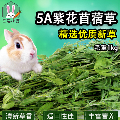 优质紫花苜蓿草兔子龙猫高蛋白