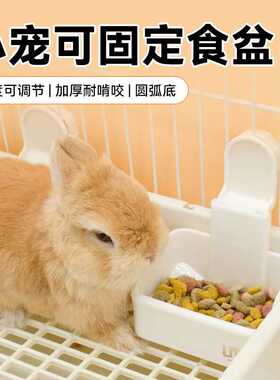 UMI兔兔食盆碗大容量兔子龙猫豚鼠可固定挂式食盒防割伤防啃饭盒
